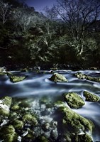 Aged boulders covered with moss in a river, Ritsa Nature Reserve Fine Art Print