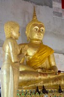 Golden Buddha statue at Khunaram Temple, Island of Ko Samui, Thailand Fine Art Print