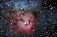 The Trifid Nebula Fine Art Print