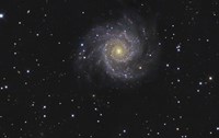 Messier 74, A Spiral Galaxy in the Constellation Pisces Fine Art Print