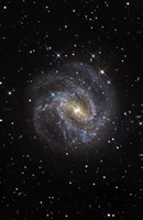 The Southern Pinwheel Galaxy Fine Art Print