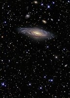 NGC 7331, A Spiral Galaxy in the Constellation Pegasus Fine Art Print
