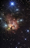 The Northern Trifid Nebula Fine Art Print