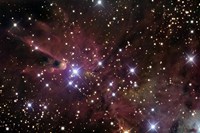 The Cone Nebula and Christmas Tree Cluster Fine Art Print