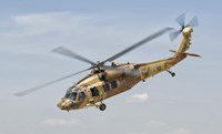 Sikorsky UH-60 Black Hawk Yanshuf of the Israeli Air Force Fine Art Print