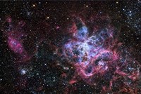 The Tarantula Nebula Fine Art Print