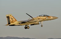 Israeli Air Force F-15I Ra'am Fine Art Print