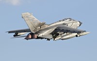 Italian Air Force Panavia Tornado ECR Fine Art Print