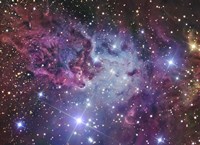 The Fox Fur Nebula Fine Art Print