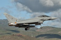 Eurofighter Typhoon of the Spanish Air Force Fine Art Print