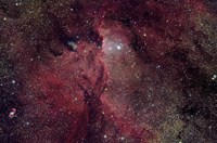 Emission Nebula in Ara (NGC 6188) Fine Art Print