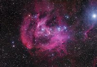 The Running Chicken Nebula Fine Art Print