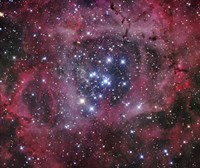 The Open Cluster within the Rosette Nebula (NGC 2244) Fine Art Print
