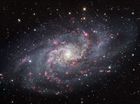 The Triangulum Galaxy Fine Art Print