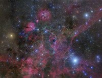 The Vela Supernova Remnant Fine Art Print