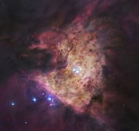 Trapezium Cluster at Center of Orion Nebula Fine Art Print