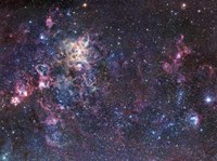 The Tarantula Nebula Fine Art Print