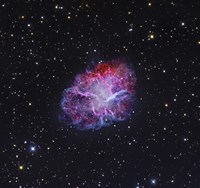 The Crab Nebula by Robert Gendler - various sizes, FulcrumGallery.com brand