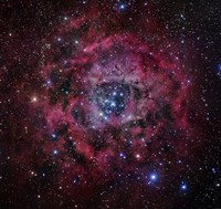The Rosette Nebula Fine Art Print