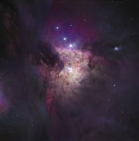 The Center of the Orion Nebula (The Trapezium Cluster) Fine Art Print