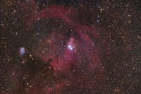The Cone Nebula region in Monoceros Fine Art Print