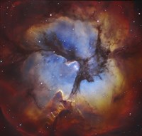 The Trifid Nebula in Sagittarius Fine Art Print