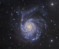 The Pinwheel Galaxy in Ursa Major Fine Art Print