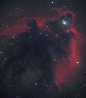Cometary Globule in Orion Fine Art Print