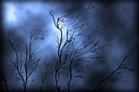 Stormy Skies Fine Art Print