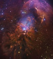 Bright Reflection Nebula in Orion by Robert Gendler - various sizes - $30.49