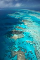 Arlington Reef, Great Barrier Reef Marine Park, North Queensland, Australia Fine Art Print