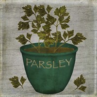 12" x 12" Parsley