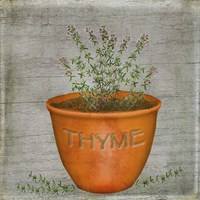 Herb Thyme Fine Art Print