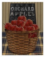 Orchard Apples Fine Art Print