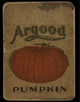 Vintage Pumpkin Framed Print