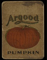 Vintage Pumpkin Fine Art Print