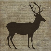 Deer Fine Art Print