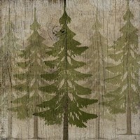 Pines Fine Art Print