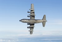 MC-130P Combat Shadow (bottom view) Fine Art Print