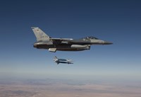 An F-16 Fighting Falcon Releases two GBU-12's Fine Art Print