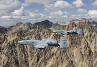 Two A-10 Thunderbolt's in Central Idaho Fine Art Print