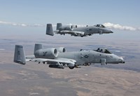 Two A-10 Thunderbolts, Saylor Creek, Idaho Fine Art Print