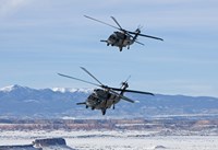 Two HH-60G Pave Hawk's over New Mexico Fine Art Print