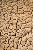 Dry Irrigation Pond, Strzelecki Track, Outback, South Australia, Australia Fine Art Print