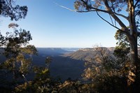 Australia, NSW, Blue Mountains, Jamison Valley Fine Art Print