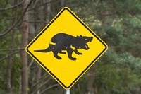 Tasmanian Devil warning sign, Tasman Peninsula, Australia Fine Art Print