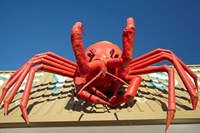 Crustacean, Giant Lobster, Stanley, Tasmania, Australia Fine Art Print