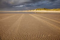Sand Ripples, Beach, Tasmania, Australia Fine Art Print