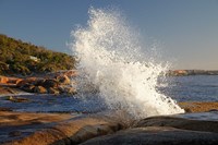 Splash from Blowhole, Bicheno, Tasmania, Australia Fine Art Print