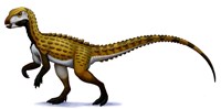 Scutellosaurus Fine Art Print